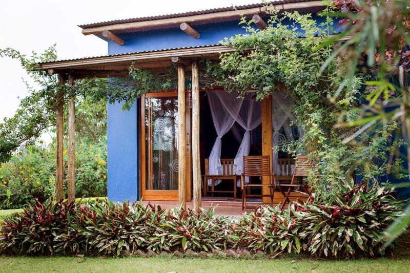 Chameleon Hill Forest Lodge Bwindi Impenetrable Park Exterior foto