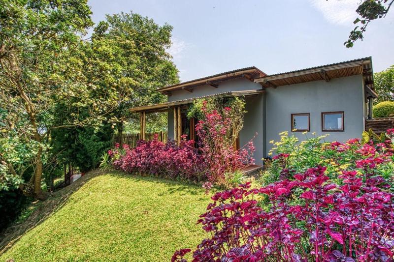 Chameleon Hill Forest Lodge Bwindi Impenetrable Park Exterior foto